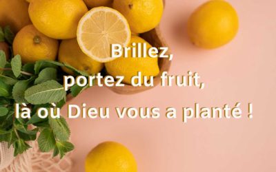 PRODUISEZ DU FRUIT LÁ OÚ DIEU VOUS A PLANTÉ.